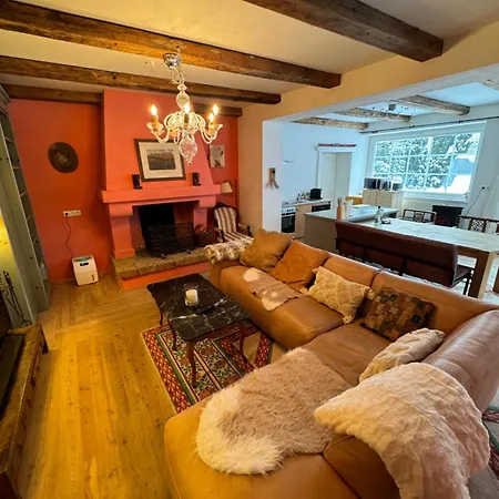 Alpines In Apartment